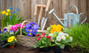 April - Grow Your Own
