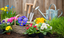 April - Grow Your Own