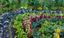 Feeding Your Garden Right: A Complete Guide to Plant Fertiliser