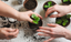 A Simple Guide to Thriving with Peat-Free Compost