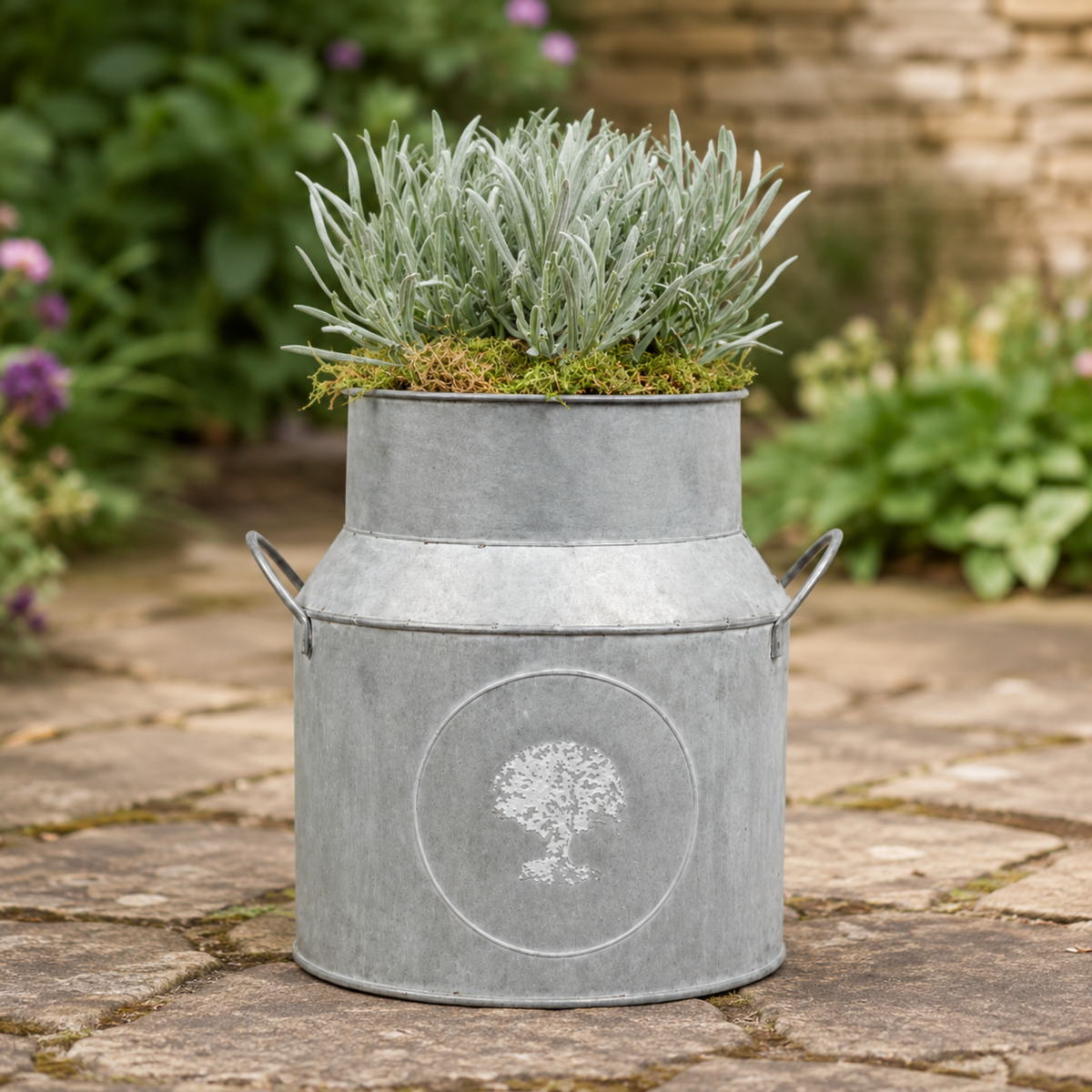 Purple lavender flowers in milk churn planter with moss finish