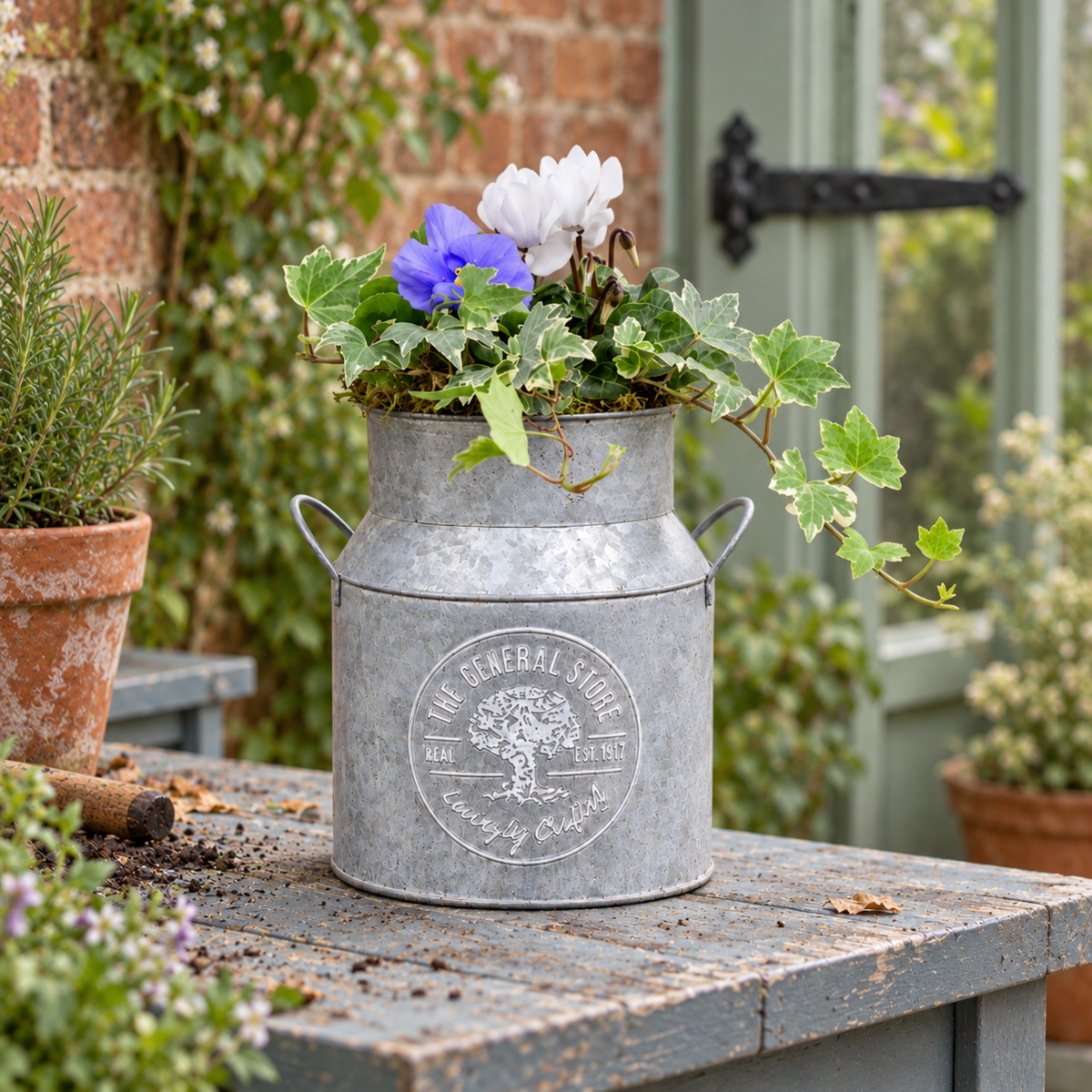 A milk churn planter filled with white cyclamen, pansies and trailing green ivy.