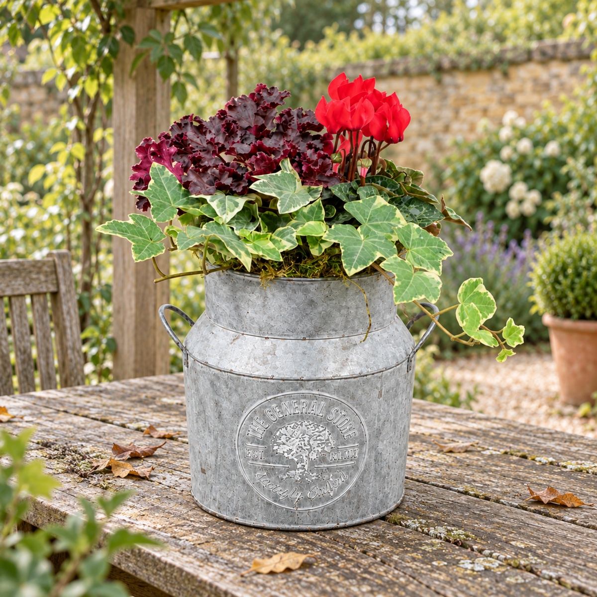 Ready-planted milk churn with ornamental foliage plants and Cyclamen flowers in autumn tones.