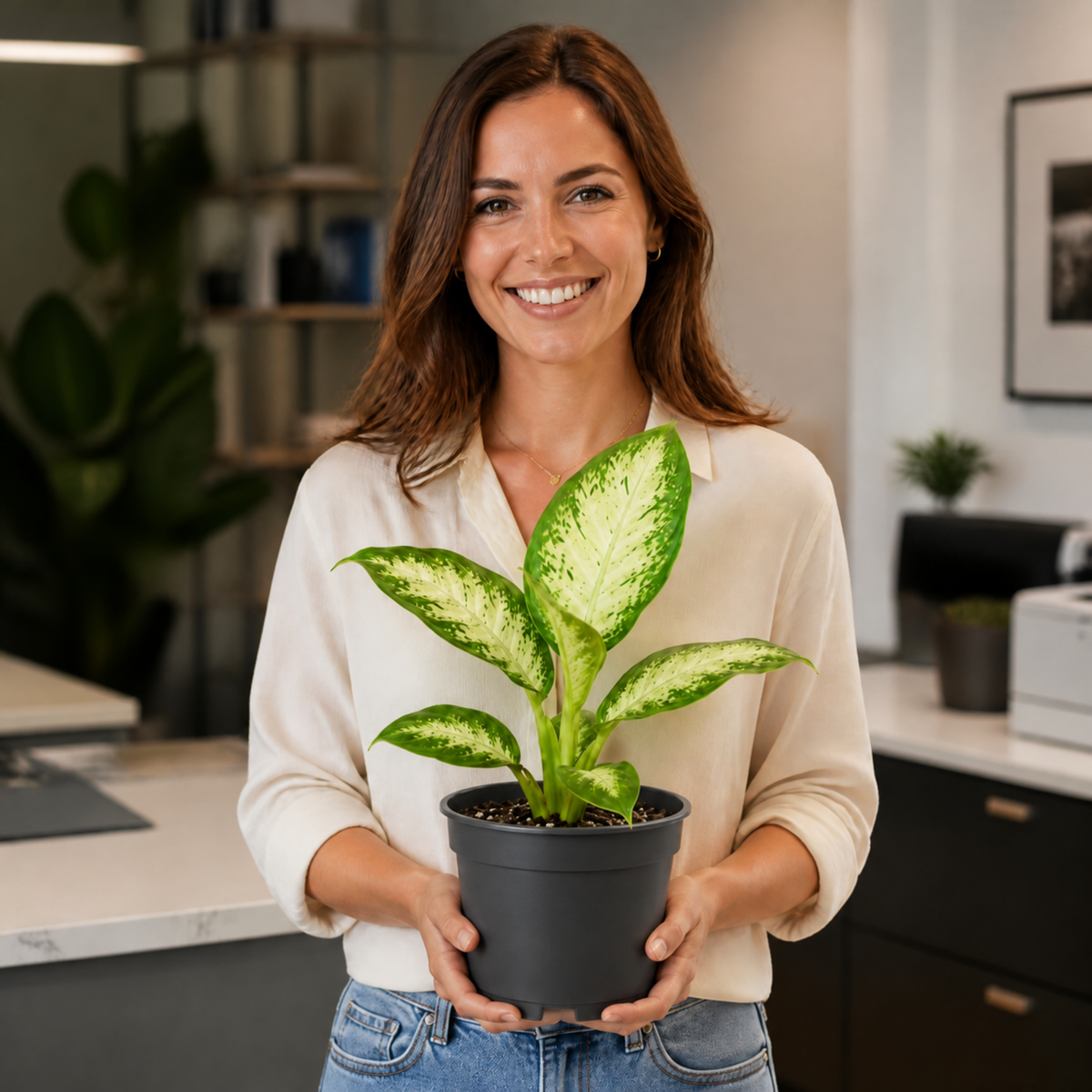 Dieffenbachia Dumb Cane houseplant with cream and green variegated leaves.