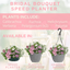 Speedplanter - Bridal Boutique