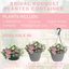 Planted Container - Bridal Boutique