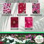 Dianthus Deep Red