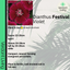 Dianthus Violet