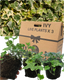 Ivy Growers Selection