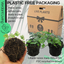 Hedera Helix Silver Veriegated - 10.5cm