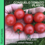 Tomato Consuelo 10.5cm