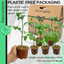 Tomato Tumbling Tom 10.5cm