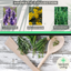 Aromatic Collection - Lavender, Helicrysum (curry plant), Rosemary
