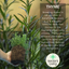 Winter Cooking Collection - Sage, Thyme, Rosemary
