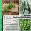 Winter Cooking Collection - Sage, Thyme, Rosemary