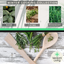 Winter Cooking Collection - Sage, Thyme, Rosemary