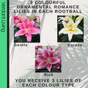 Gentle Plant