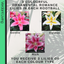 Romance Lily Mix - Gentle, Golden, Rich
