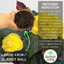 Begonia Non-stop Yellow