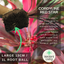 Cordyline Red Star