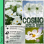 Cosmos Apollo White