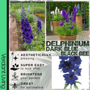 Delphinium Dark Blue Black Bee Plant