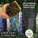 Delphinium Dark Blue White Bee Plant