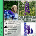 Delphinium Dark Blue White Bee Plant