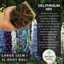 Delphinium Mix