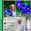 Delphinium Mix Plant