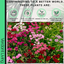 Dianthus Kahori & Electric Dreams