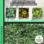 Euonymus Emerald Gaeity