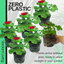 Geranium Calliope M Dark Red