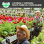 Pelargonium Toscana Dolce Vita Evi Blue