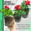 Geranium Calliope Landscape Fire