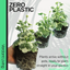 Geranium Pelgardini Frank Headly