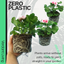 Pelargonium Toscana Dolce Vita Linus or Smart Splash