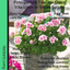 Pelargonium Toscana Dolce Vita Linus or Smart Splash