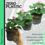 Pelargonium Toscana Dolce Vita Anne or Smart Carla