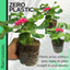 Geranium Calliope M Rose Splash