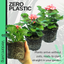 Pelargonium Toscana Dolce Vita Emma or Smart Lenja