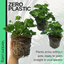 Pelargonium Toscana Smart Jenny
