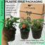 Lantana Evita Mix - Sunrise, Pink, Rose