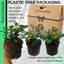 Lantana Evita Sunrise