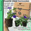Petunia Night Sky