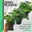 Senetti Blue Bicolour