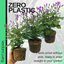 Senetti Magenta Bicolour