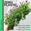 Senetti Magenta