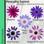 Senetti Random Colours