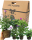 Senetti Random Colours